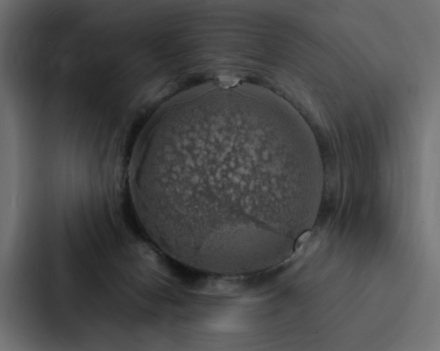 X0000088230078200705151501