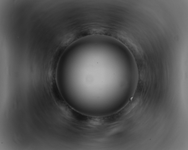 X0000088230079200705151501