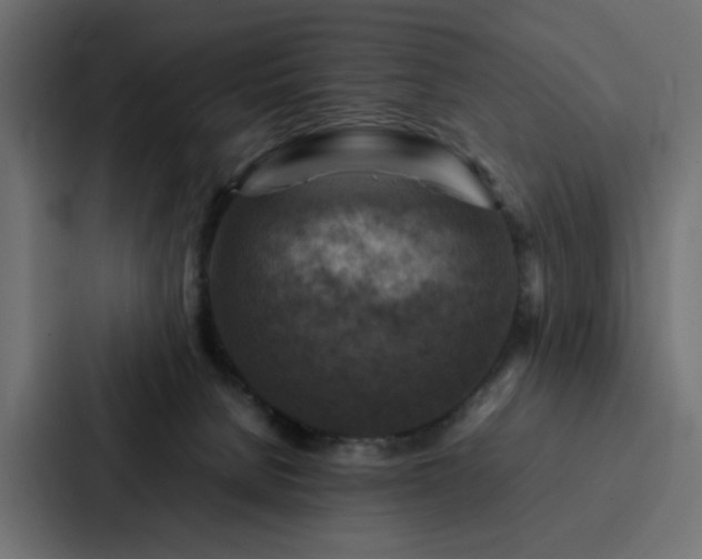 X0000088230080200705151501