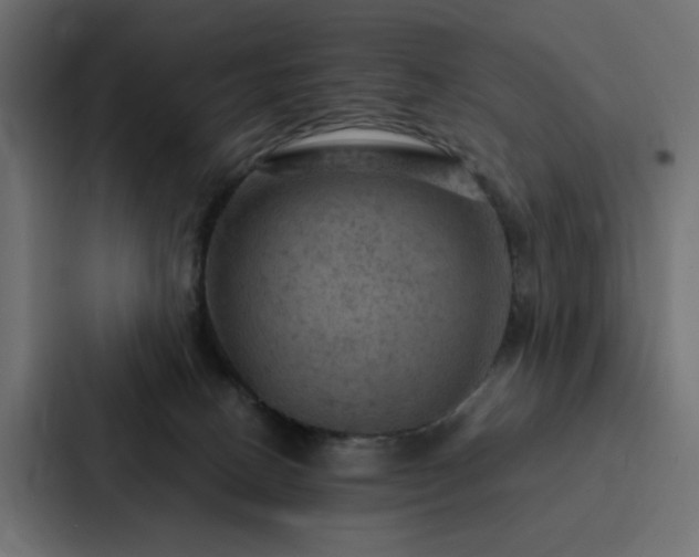 X0000088230082200705151501