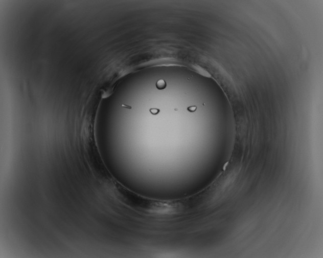 X0000088230083200705151501