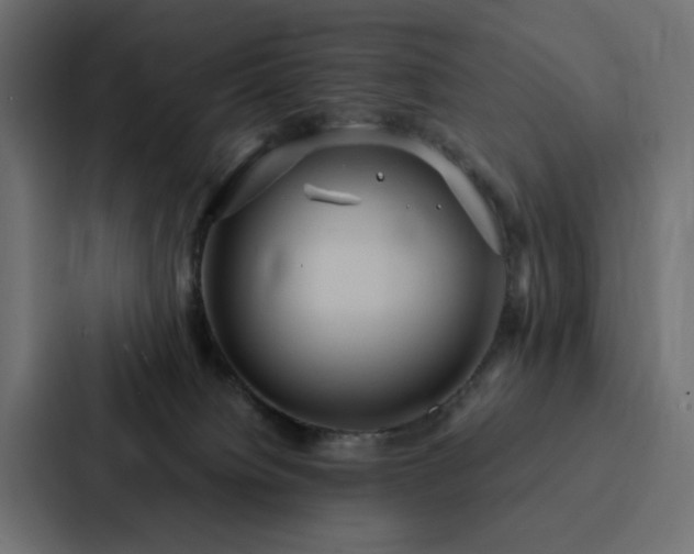 X0000088230084200705151501