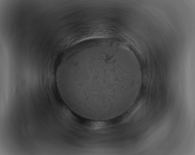 X0000088230085200705151501