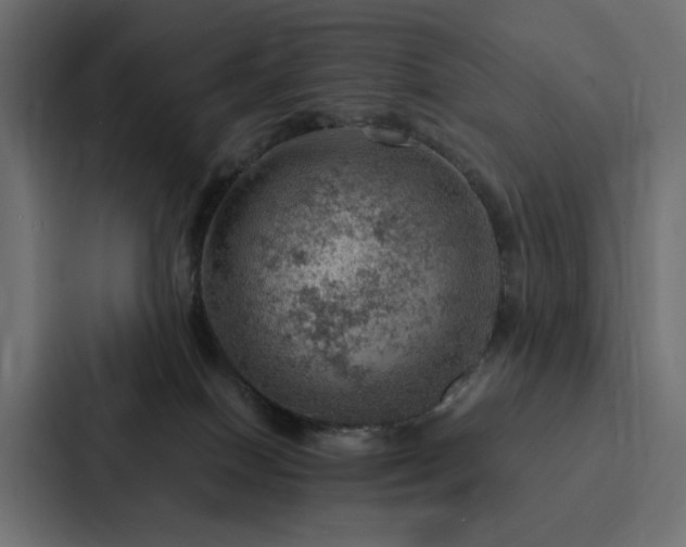 X0000088230086200705151501