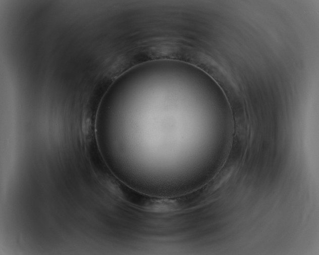 X0000088230087200705151501