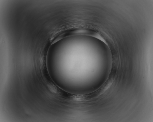 X0000088230088200705151501