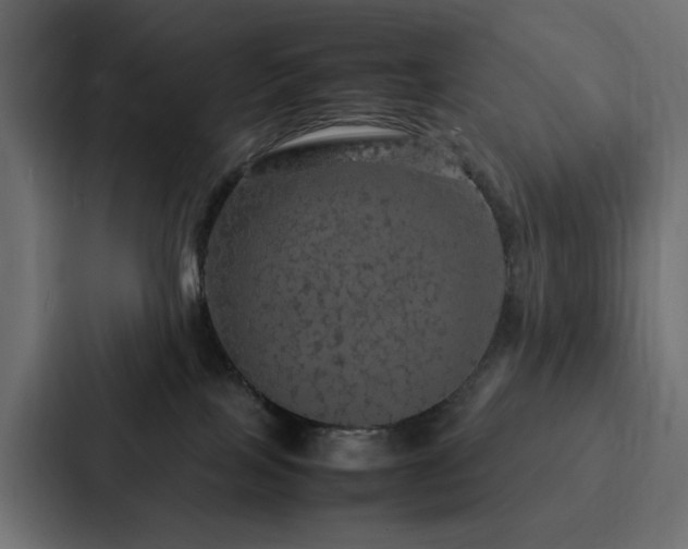 X0000088230089200705151501