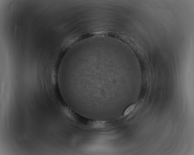 X0000088230090200705151501