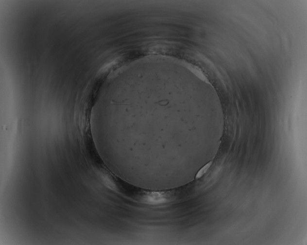 X0000088230091200705151501