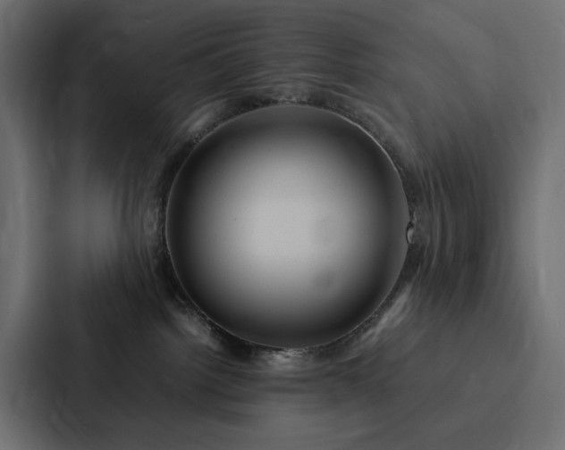 X0000088230092200705151501