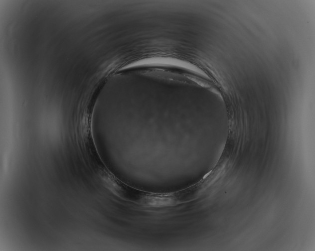 X0000088230093200705151501