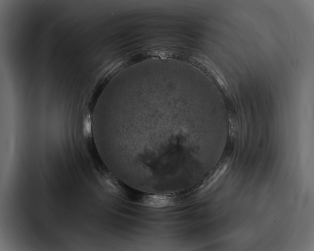 X0000088230095200705151501