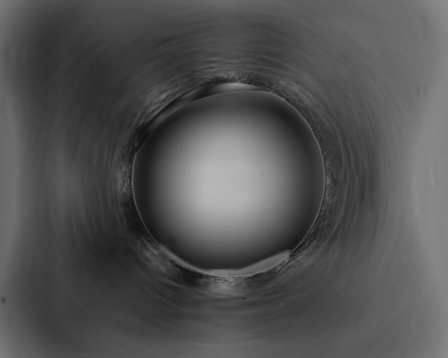 X0000088230096200705151501