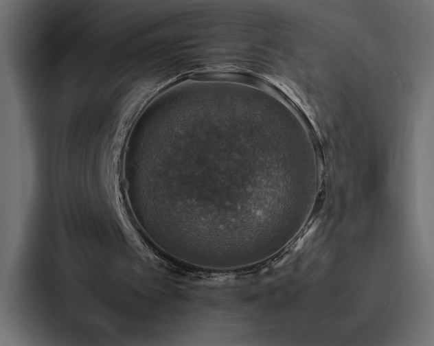 X0000088230097200705151501