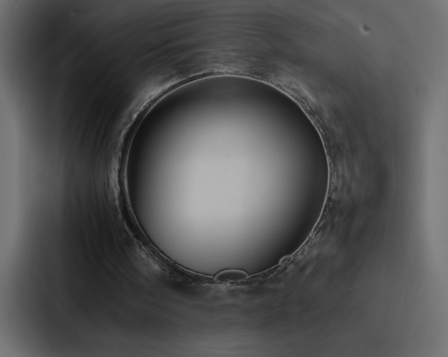 X0000088230098200705151501