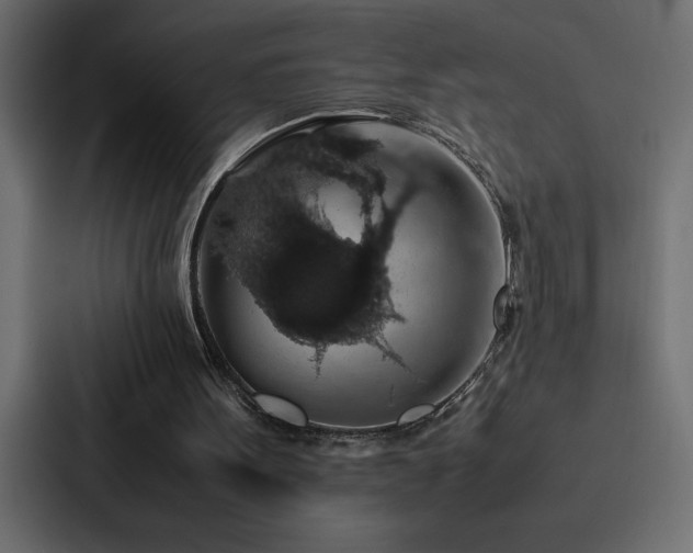 X0000088230099200705151501