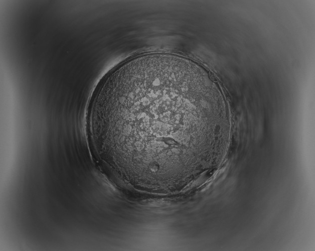 X0000088230100200705151501