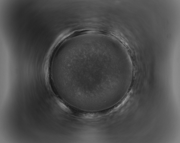 X0000088230101200705151501