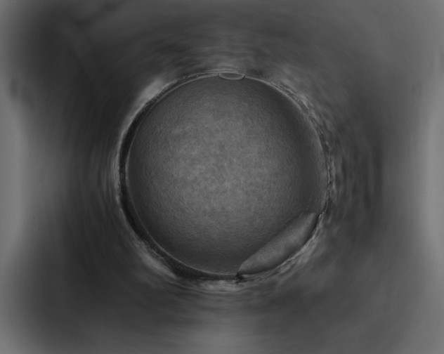 X0000088230102200705151501
