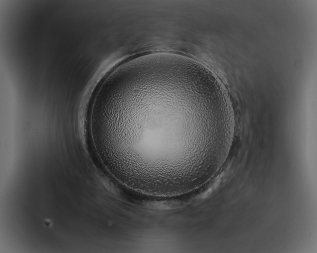 X0000088230103200705151501