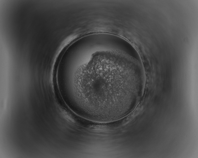 X0000088230104200705151501