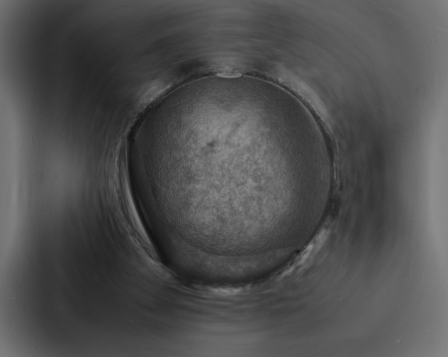 X0000088230105200705151501
