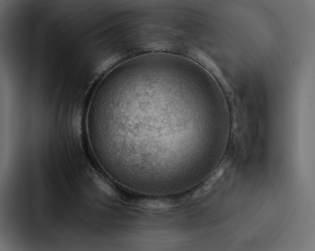 X0000088230106200705151501