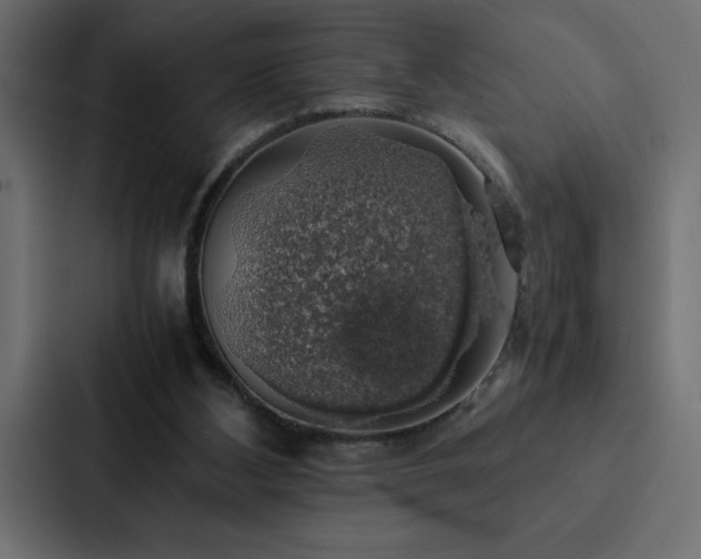 X0000088230108200705151501