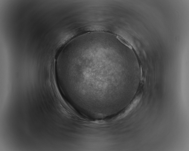 X0000088230109200705151501