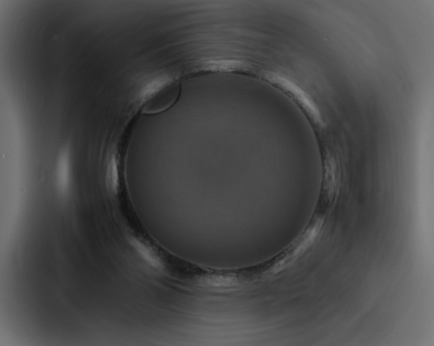 X0000088230110200705151500