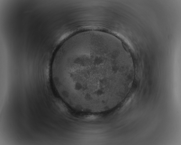 X0000088230111200705151500
