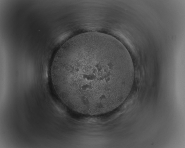X0000088230115200705151500