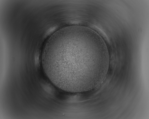 X0000088230116200705151500