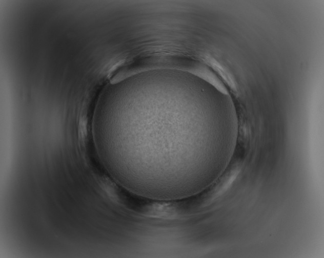X0000088230117200705151500