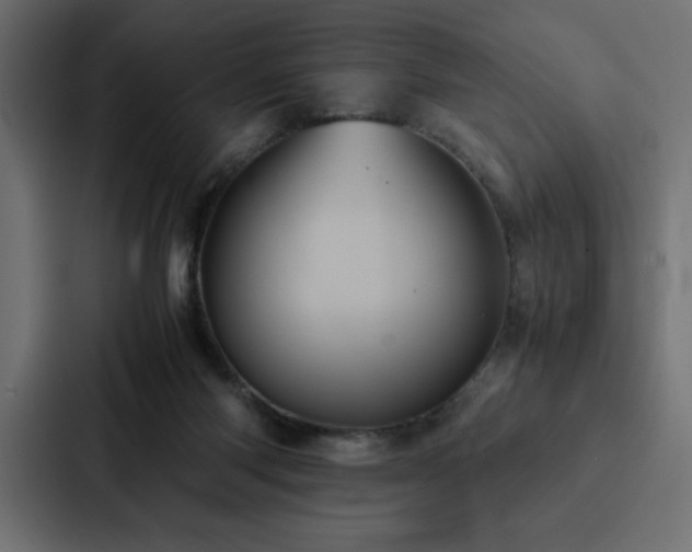 X0000088230118200705151500