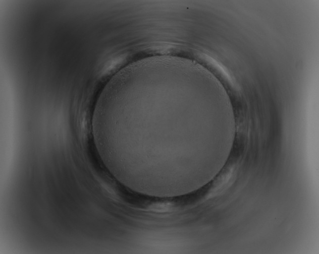 X0000088230119200705151500