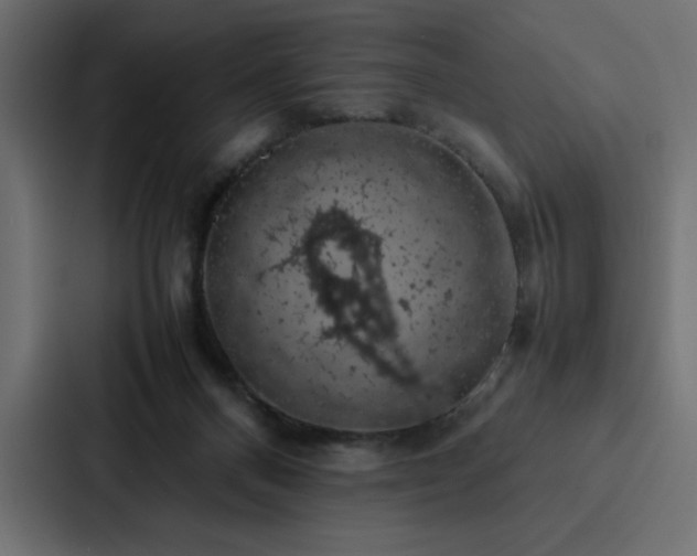 X0000088230120200705151500