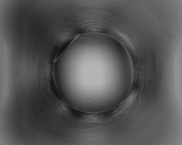 X0000088230121200705151500