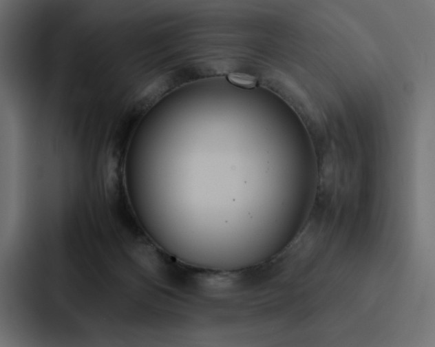 X0000088230122200705151500