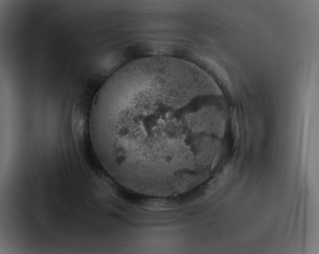 X0000088230123200705151500