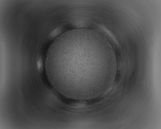X0000088230124200705151500