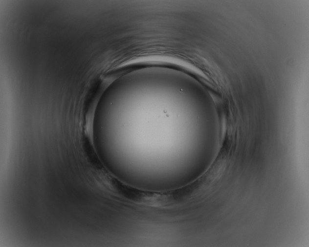 X0000088230125200705151500