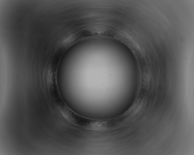 X0000088230126200705151500
