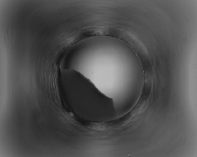 X0000088230127200705151500