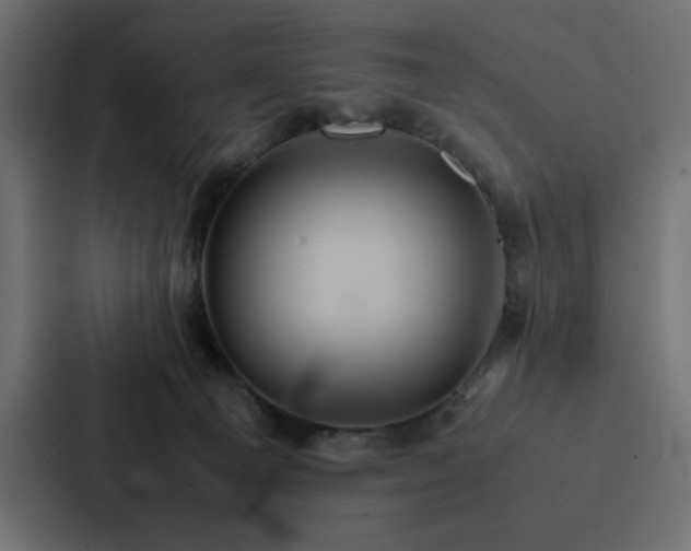 X0000088230129200705151500