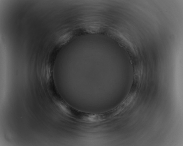 X0000088230130200705151500