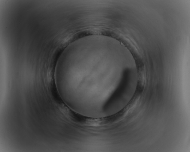 X0000088230131200705151500