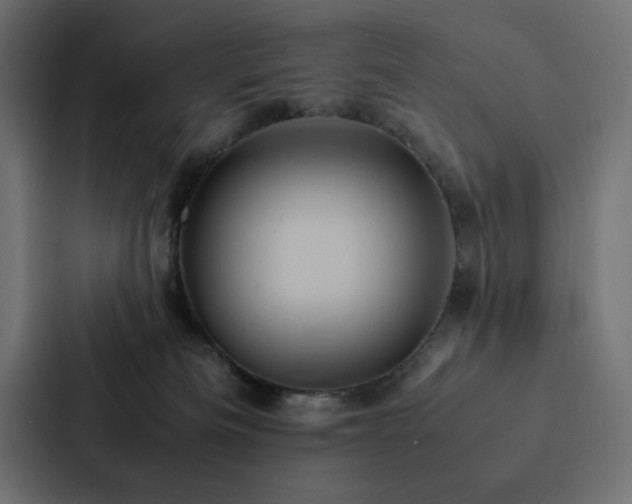 X0000088230133200705151500