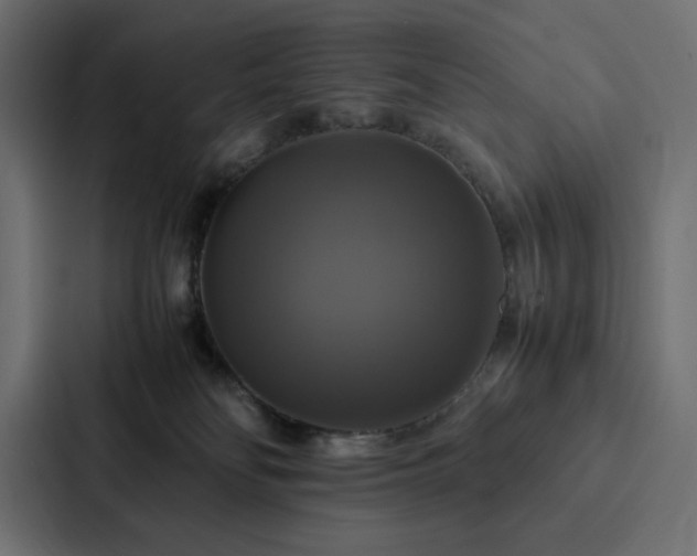 X0000088230134200705151500