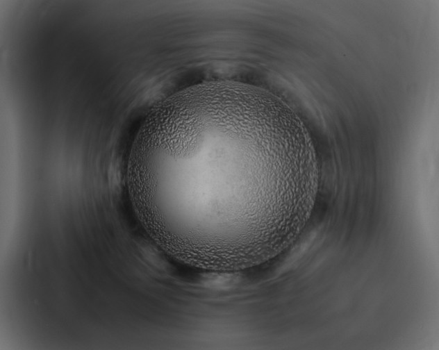 X0000088230135200705151500